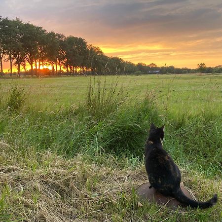 Kindvriendelijk Appartement De Hooge Stukken Onder De Rook Van Groningen Eelde-Paterswolde Екстериор снимка